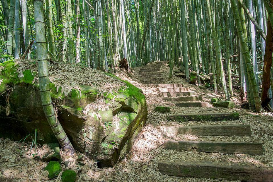 端午節吃粽不增肉重　嘉義精選12優質步道