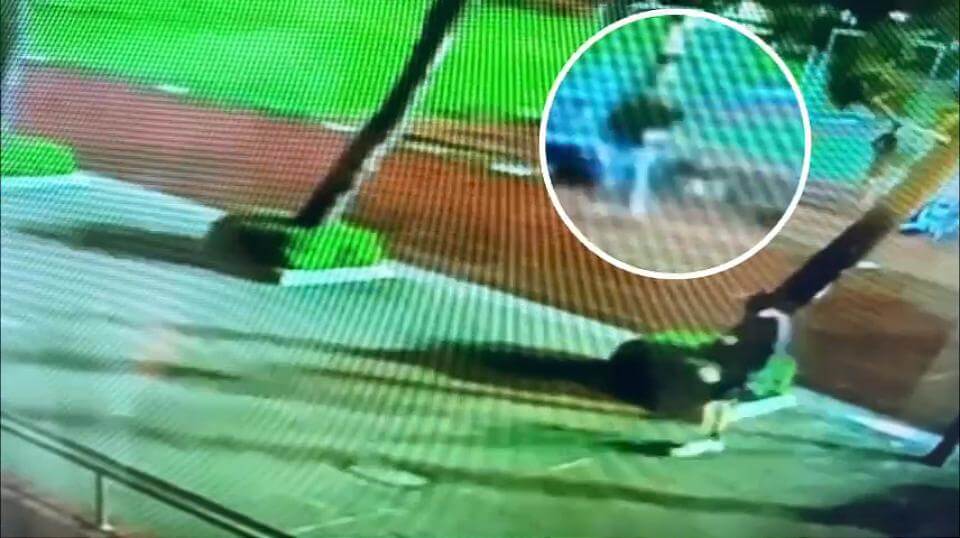 球場旁假觀鬥牛球賽　竊嫌伺機偷錢包