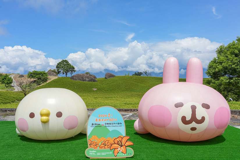 113年花蓮金針花季隆重登場！花蓮縣政府邀請您一同賞花共度金黃色的夏日時光